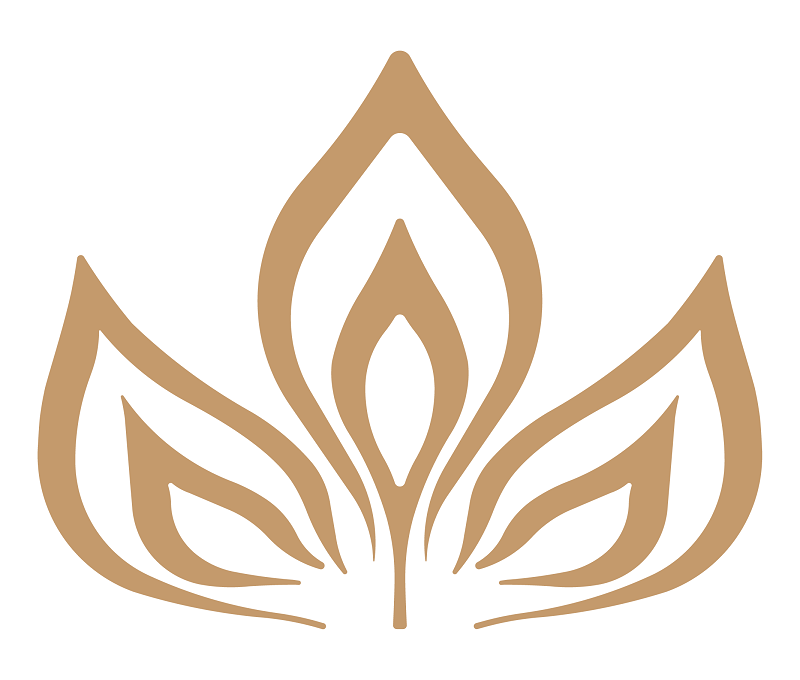 فروش قهوه هسته خرما