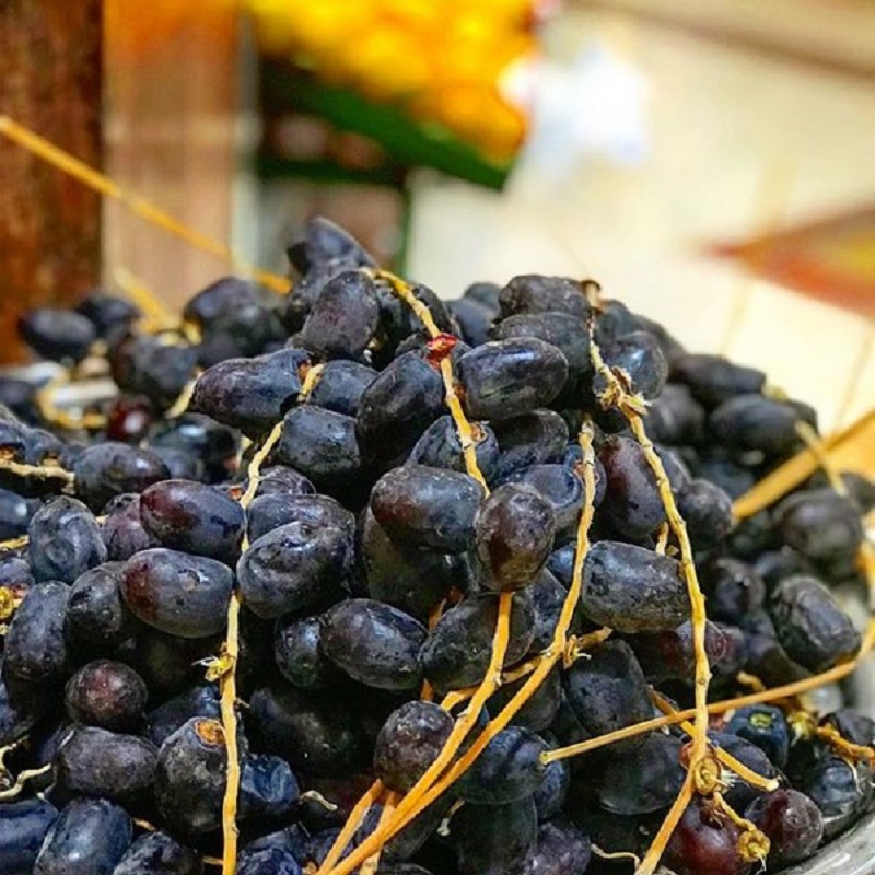 خرما مضافتی بم صادراتی