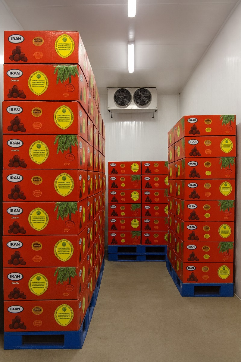 قیمت خرما مضافتی بم درجه یک