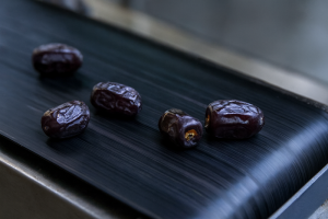 قیمت خرما مضافتی بم