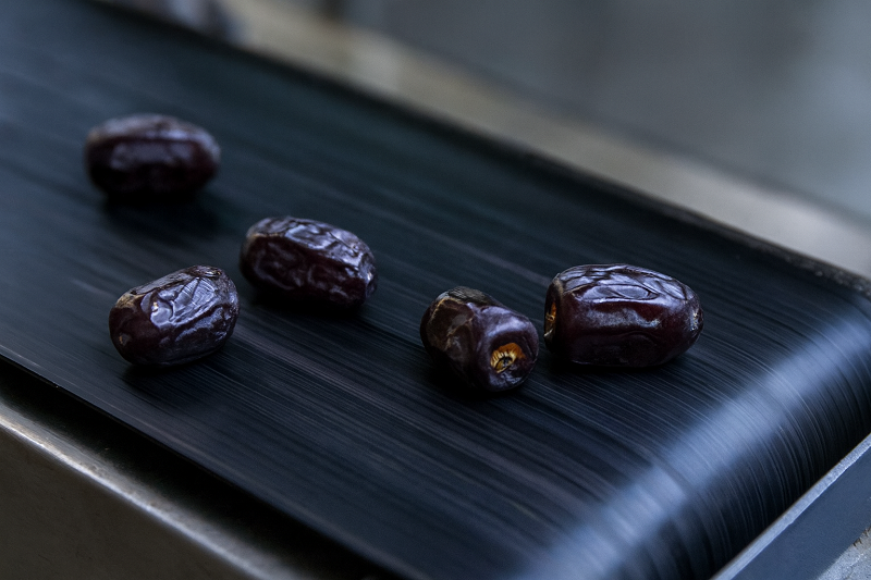 قیمت خرما مضافتی بم