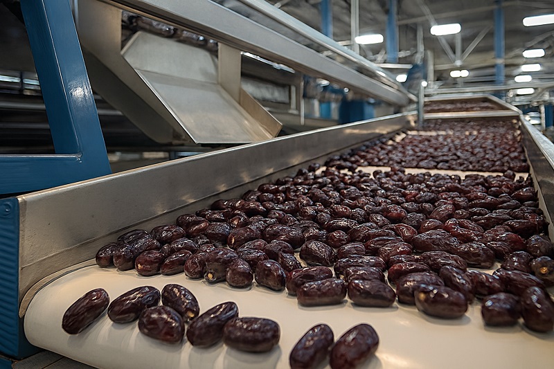 پخش خرما مضافتی