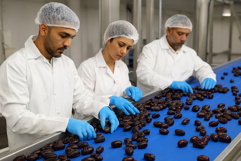 قیمت خرما مضافتی بم درجه یک